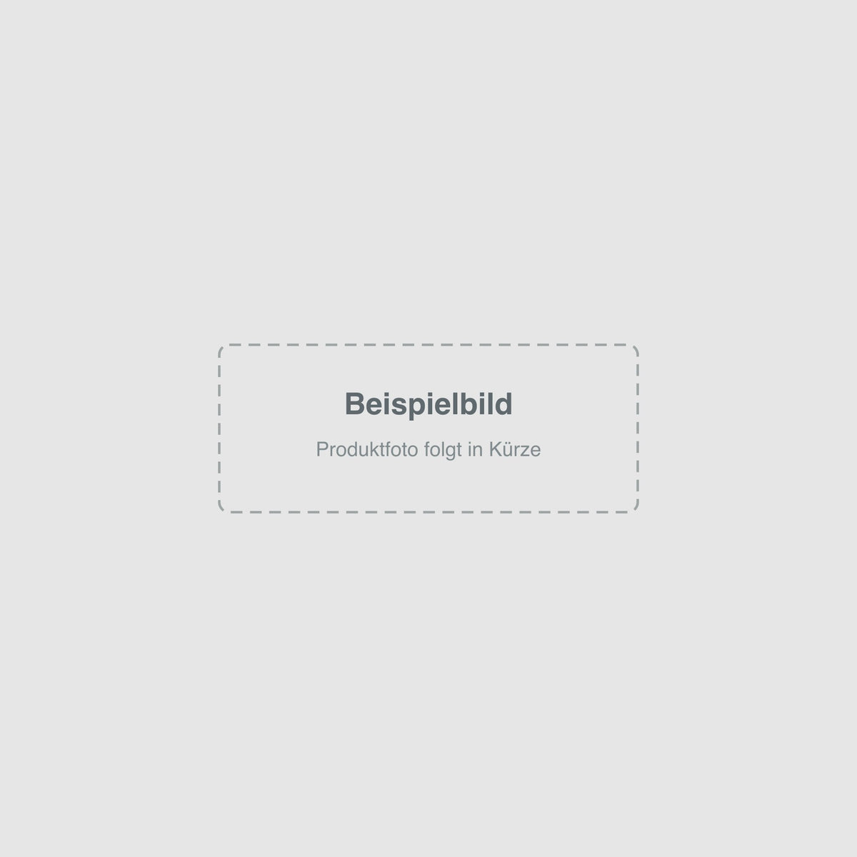 Seat Media System 2.2 (RNS315) – Beispielbild, Produktfoto folgt