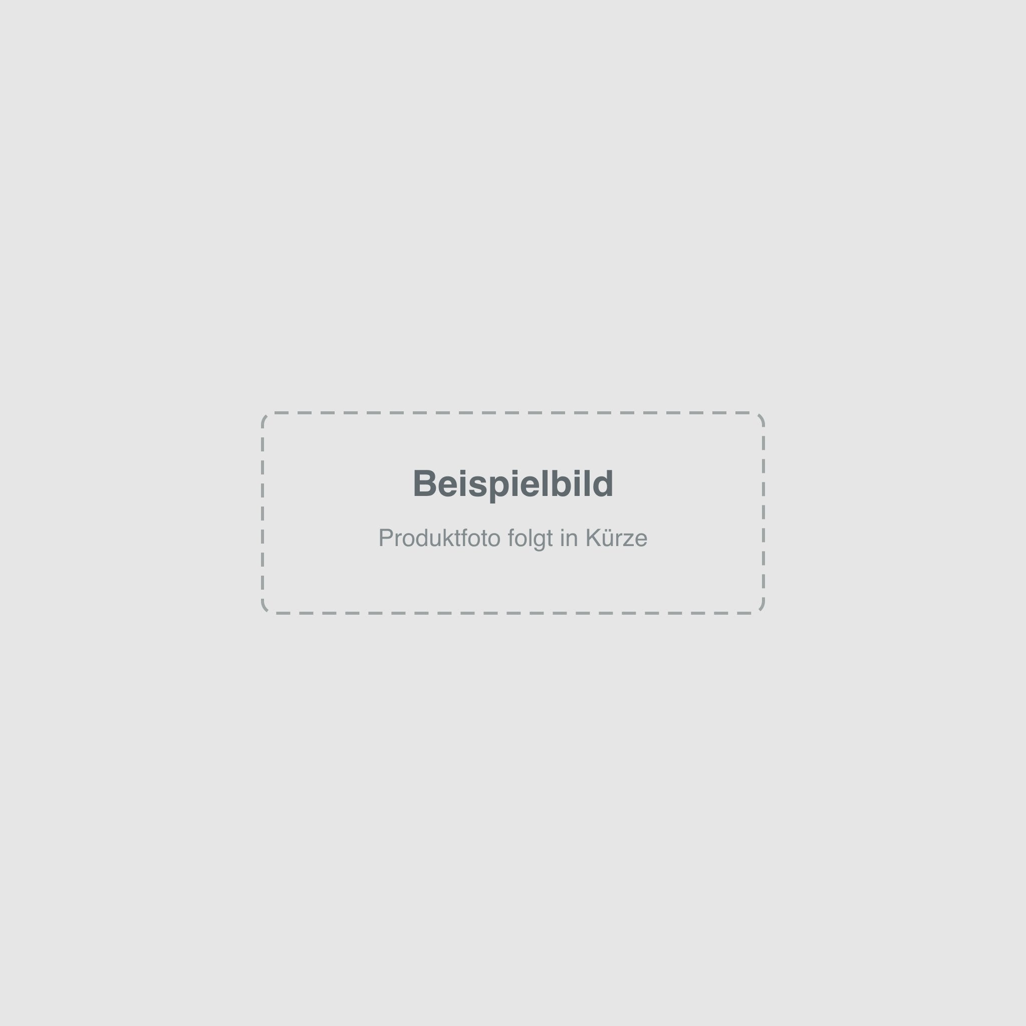 Seat Media System 3.2 (RNS510) – Beispielbild, Produktfoto folgt